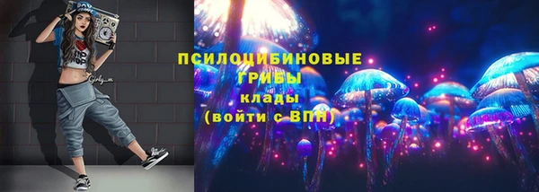 прущие грибы Осташков
