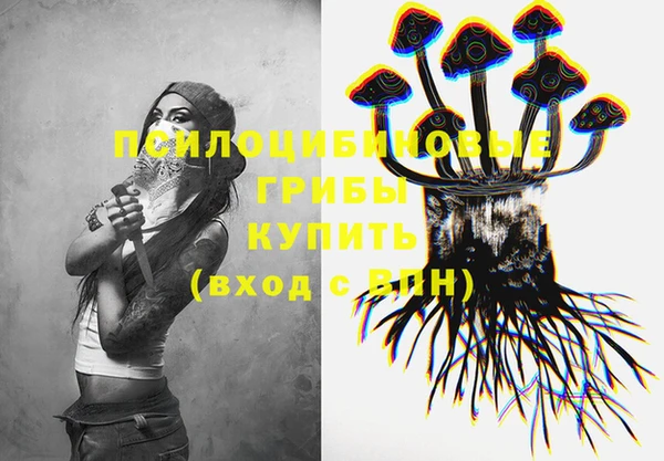 mix Надым