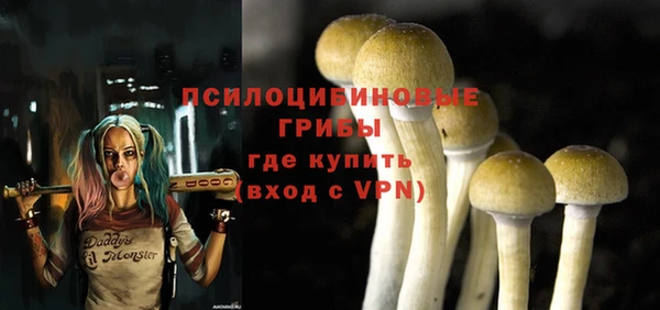 mix Надым