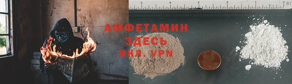 прущие грибы Осташков