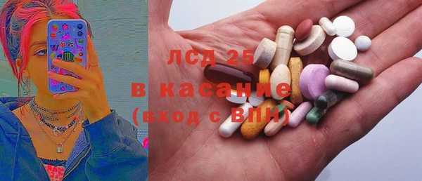 прущие грибы Осташков